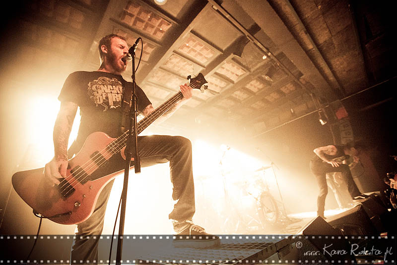 Cancer Bats