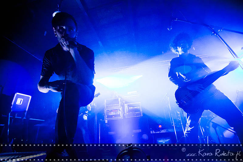 The Ocean Collective
