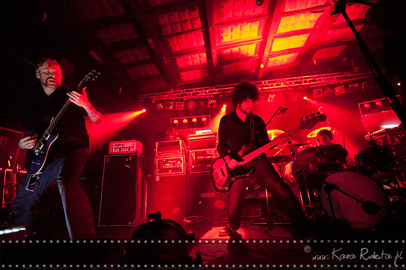 The Ocean Collective