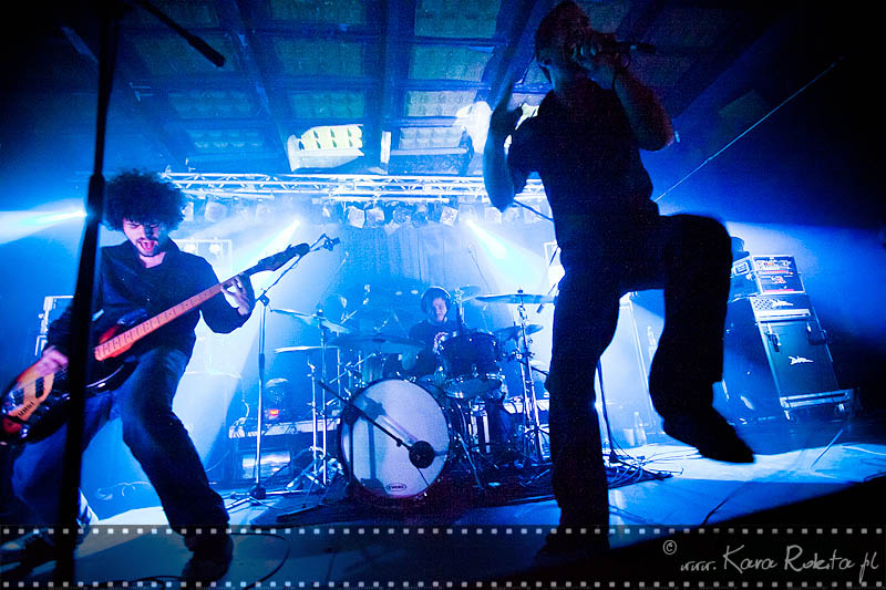 The Ocean Collective