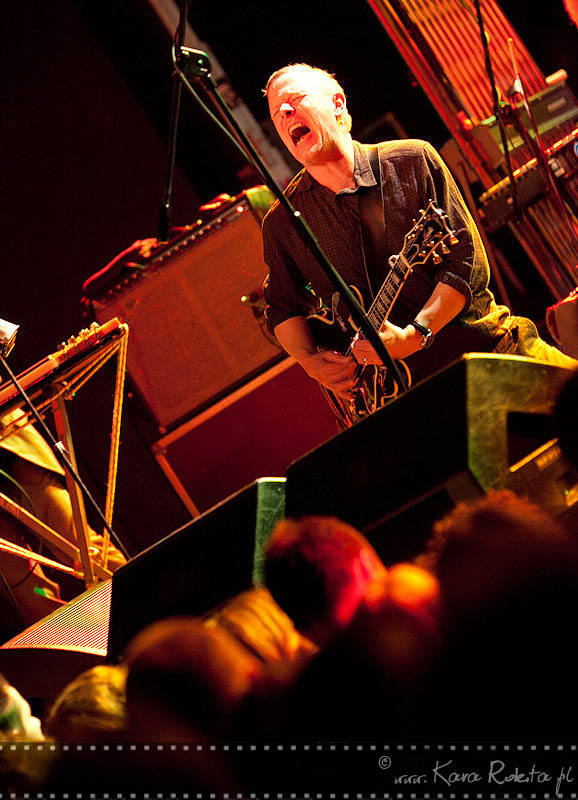 Swans