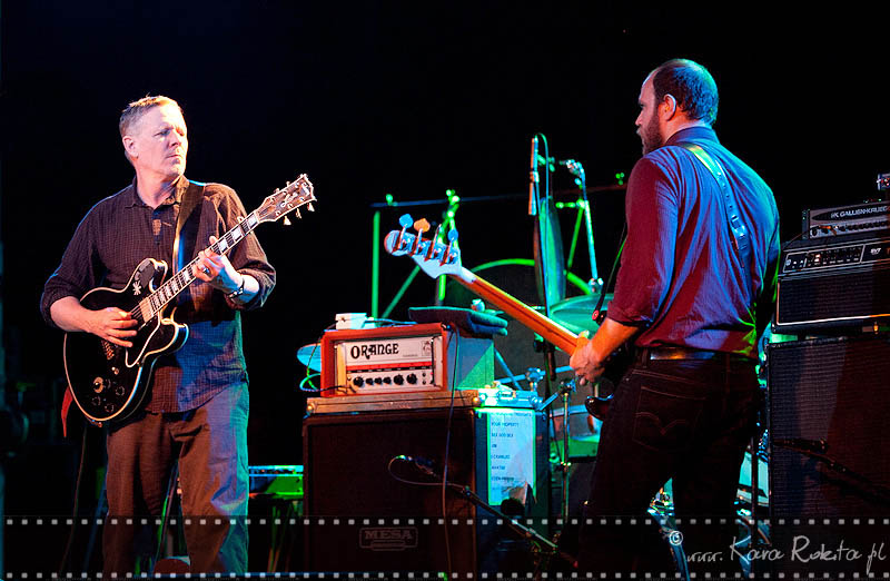 Swans