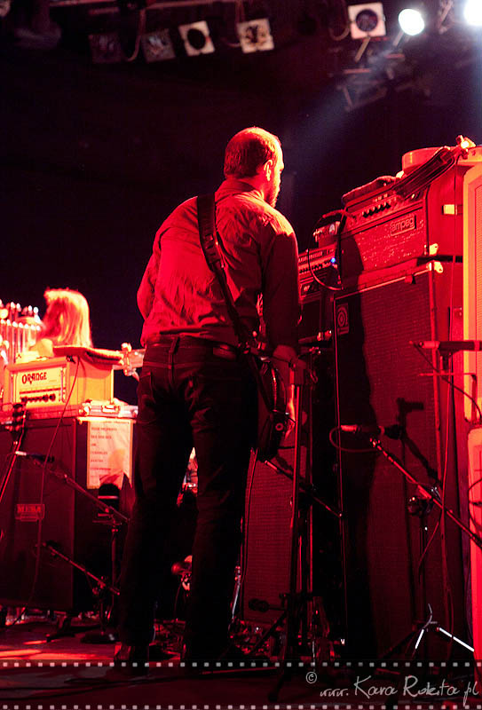 Swans