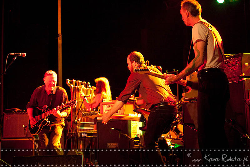 Swans