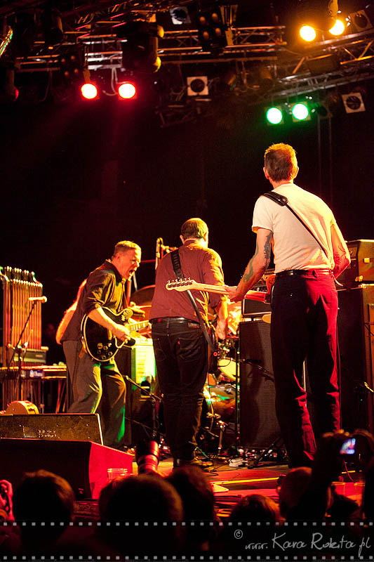 Swans