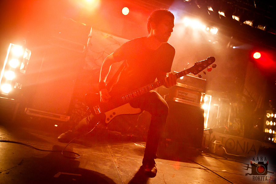 Junius