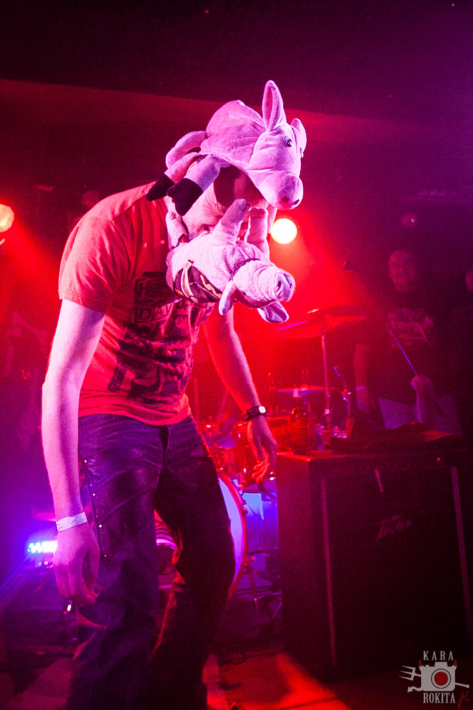 Wild Pig