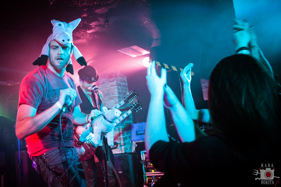 Wild Pig