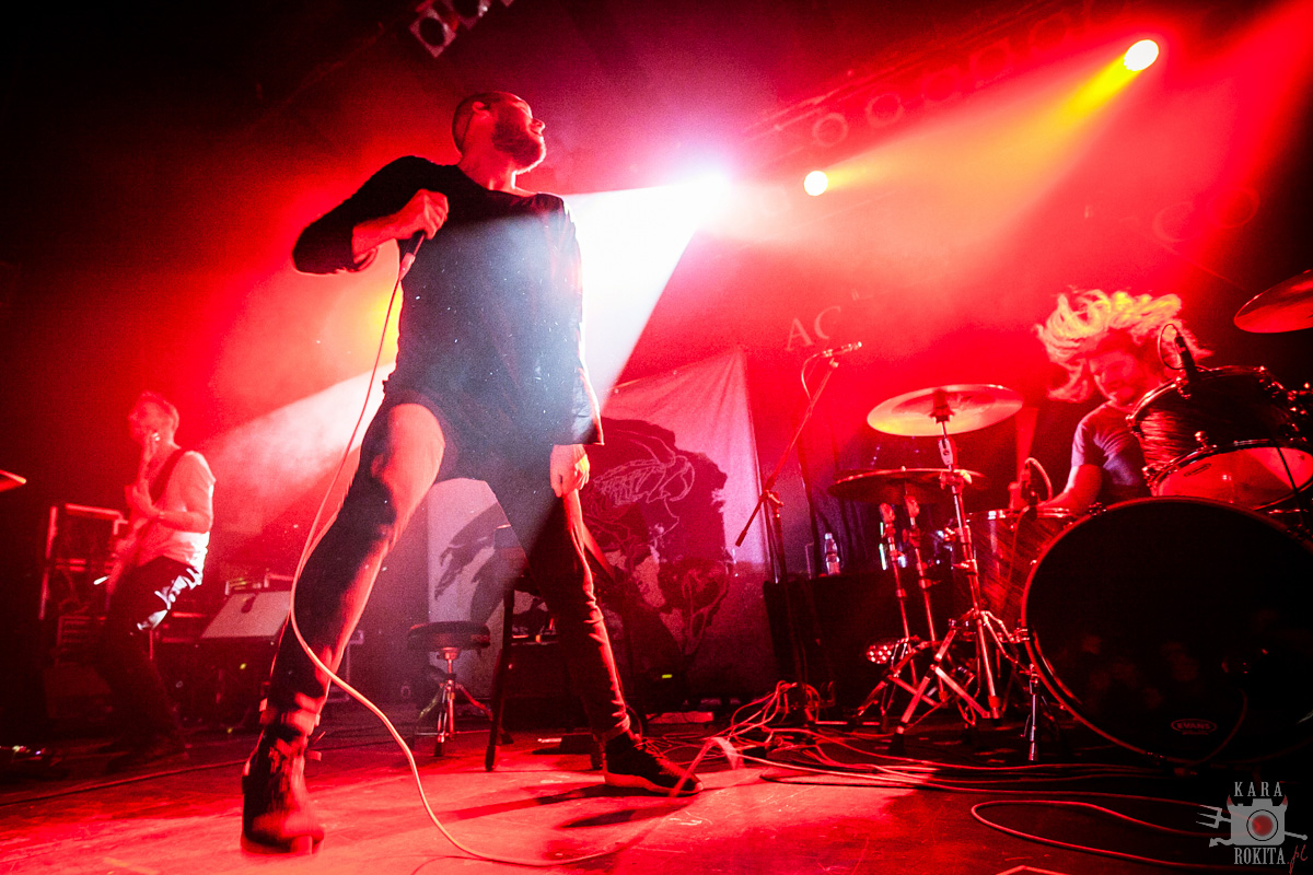 Agent Fresco
