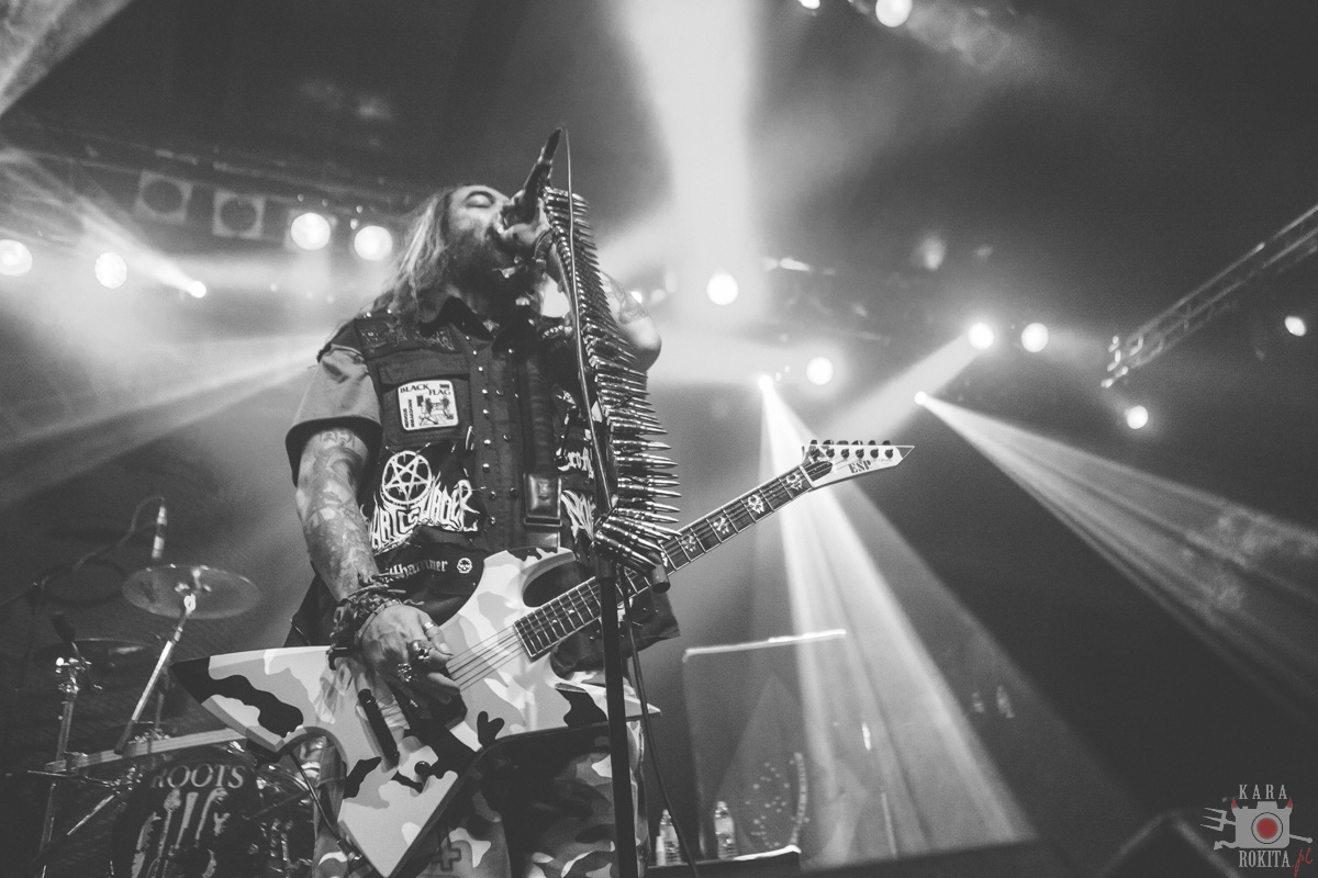 Cavalera