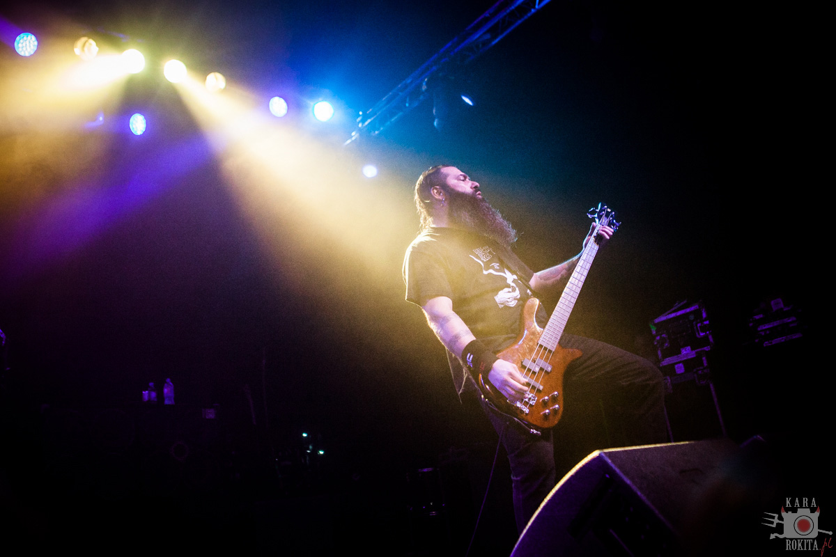 Cavalera