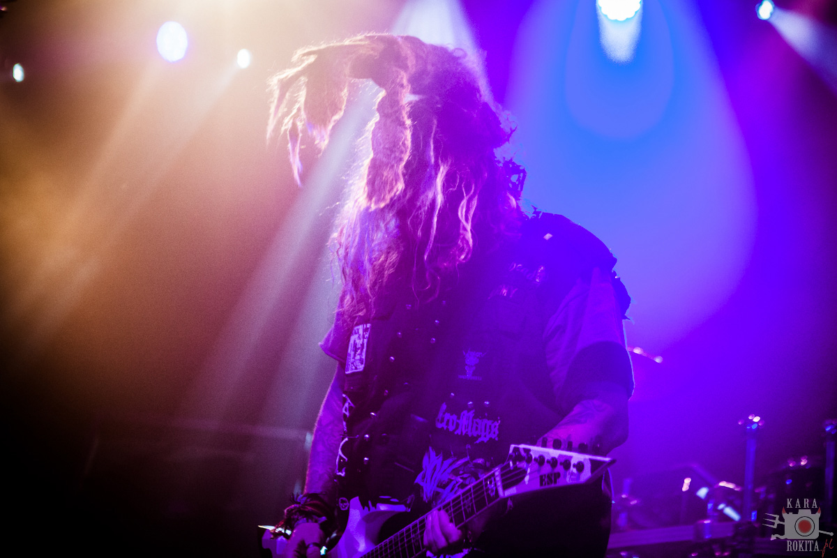 Cavalera