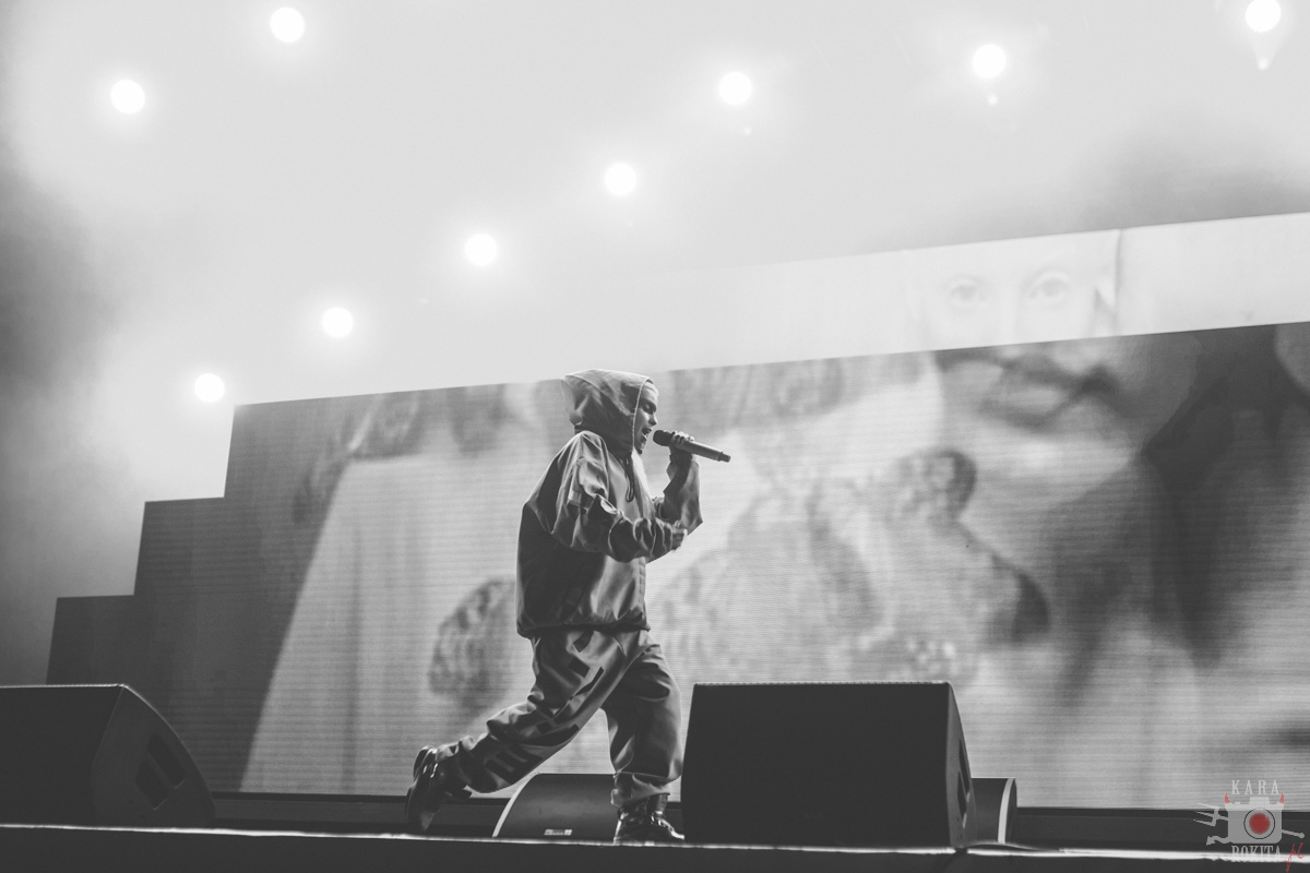 Die Antwoord