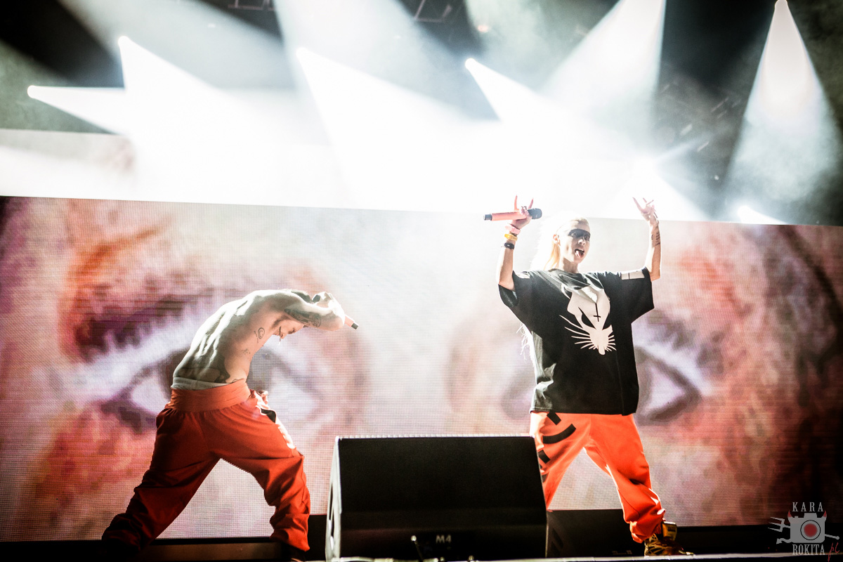 Die Antwoord