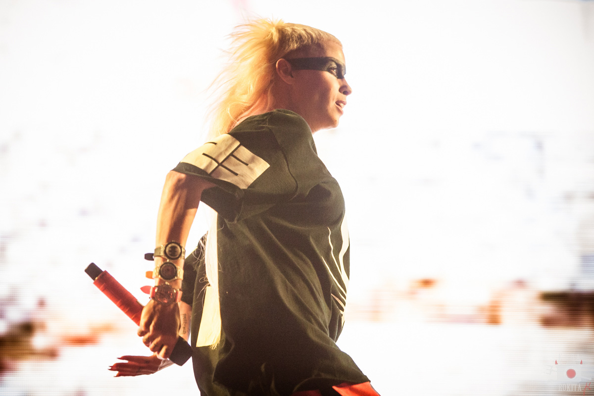 Die Antwoord