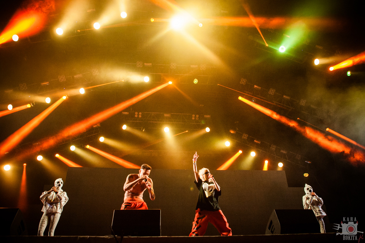 Die Antwoord