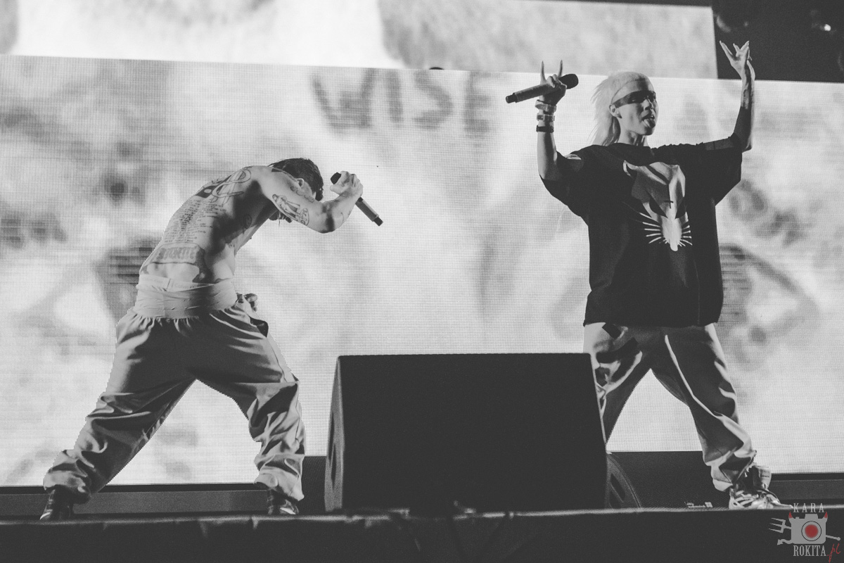 Die Antwoord