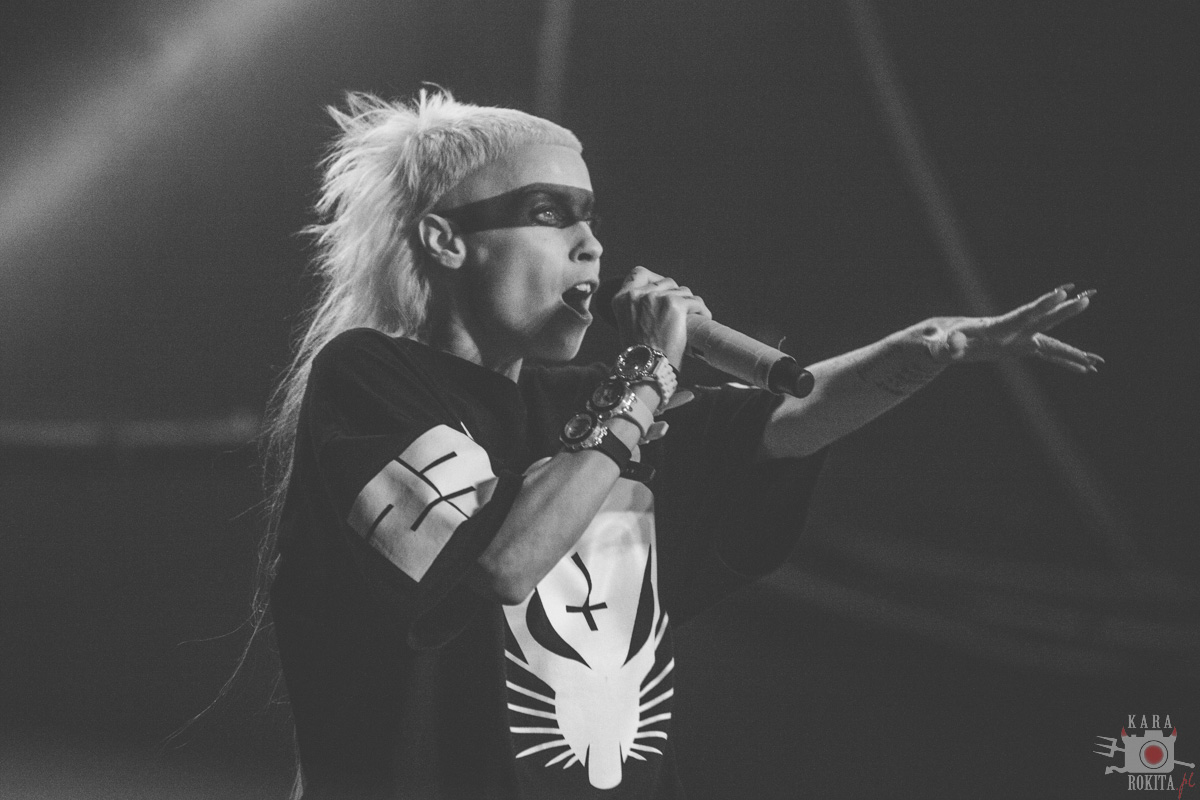 Die Antwoord