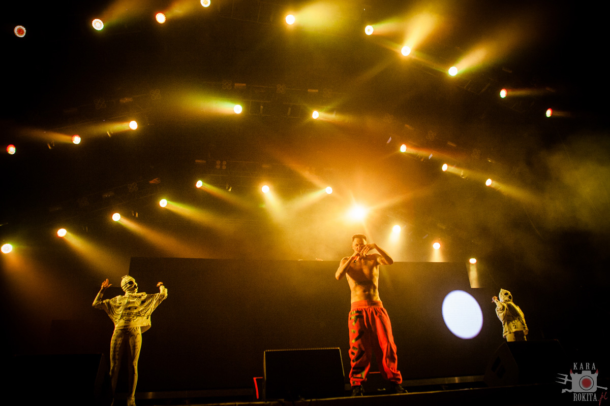 Die Antwoord