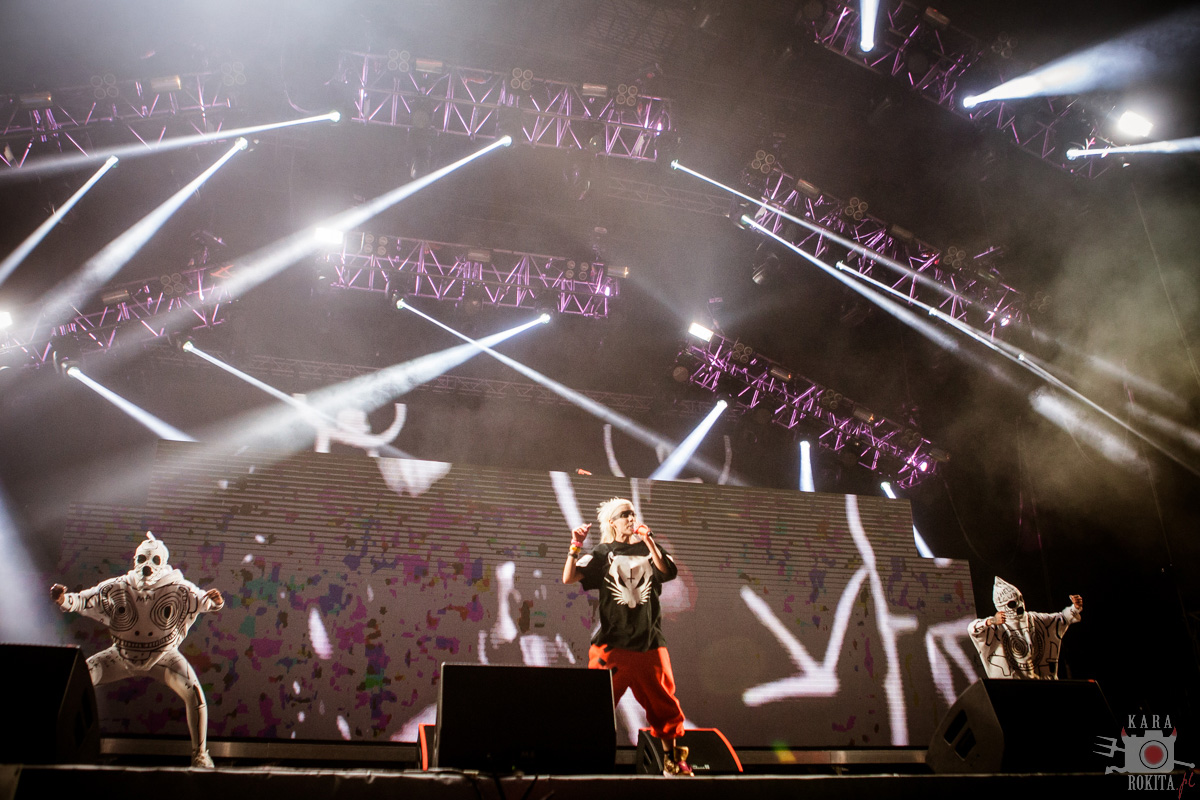 Die Antwoord