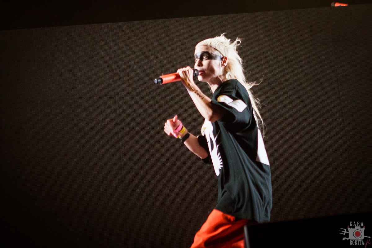 Die Antwoord
