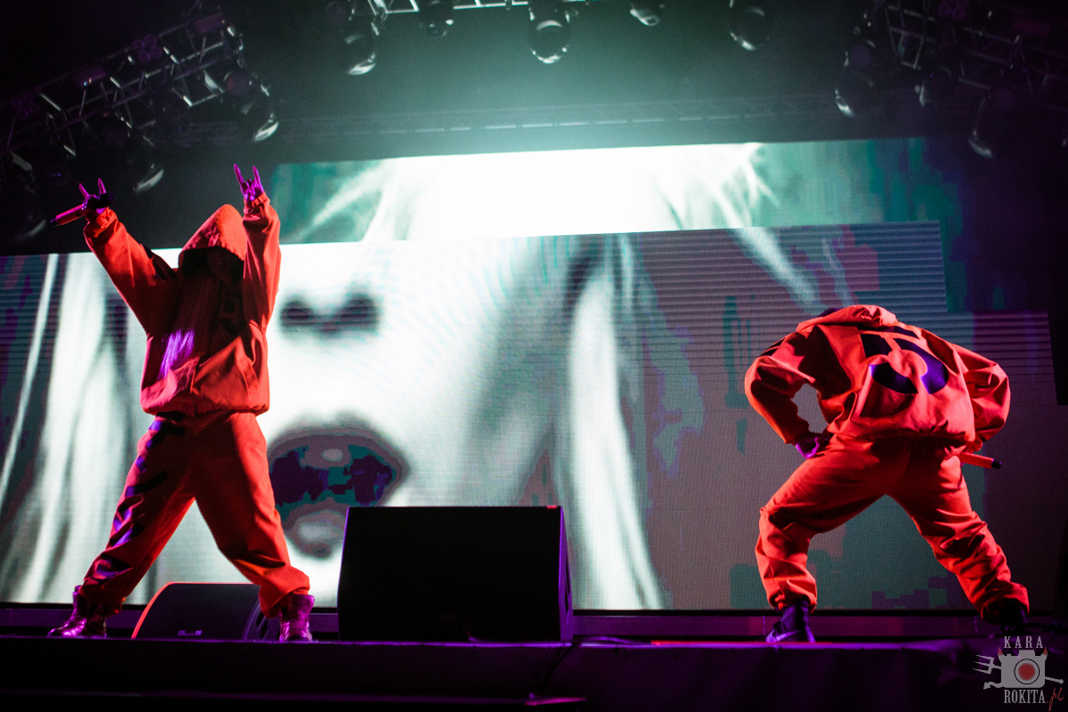 Die Antwoord