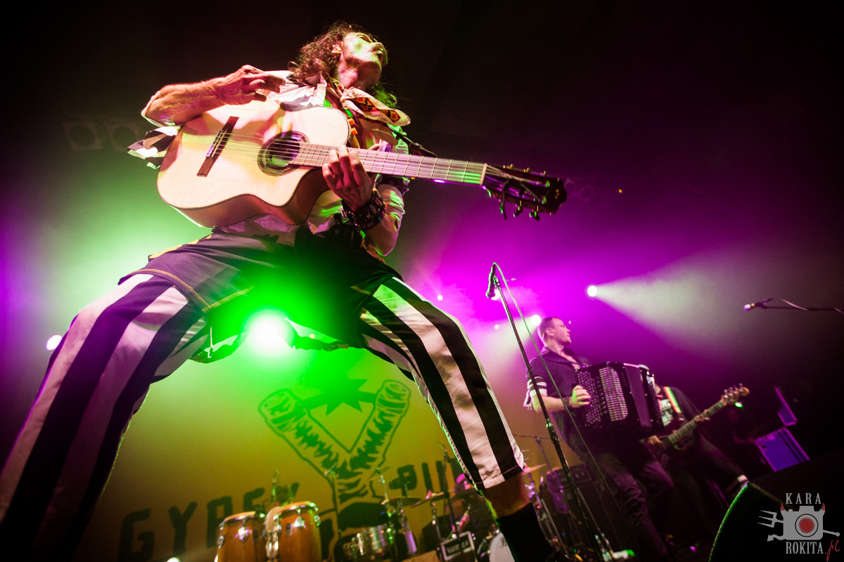 Gogol Bordello