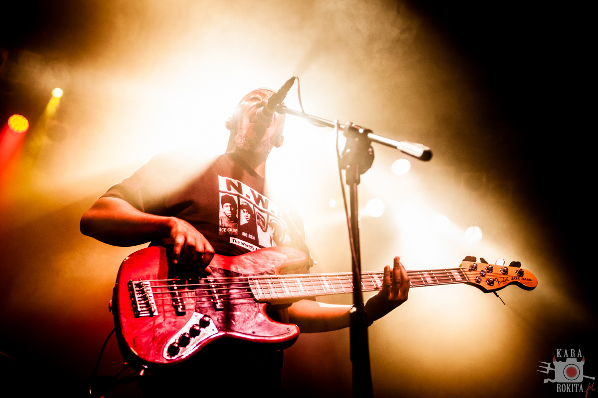 Gogol Bordello