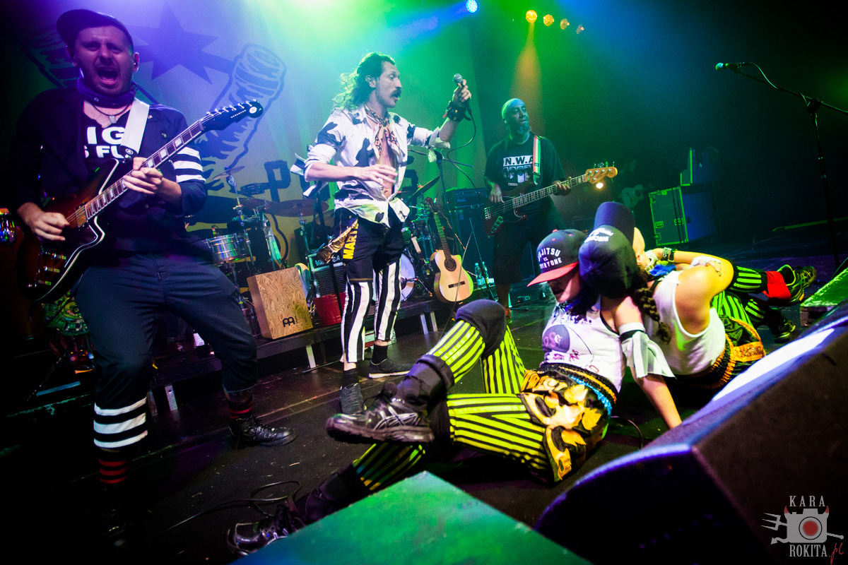 Gogol Bordello