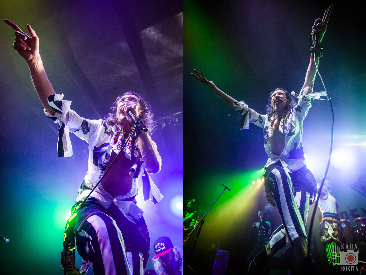 Gogol Bordello