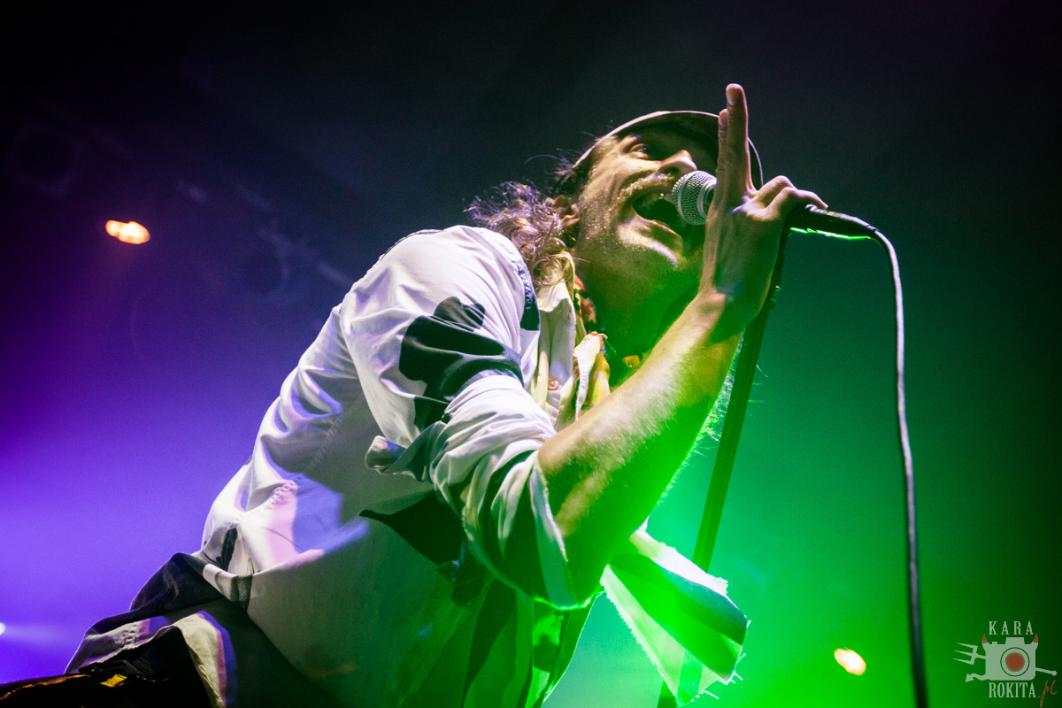 Gogol Bordello