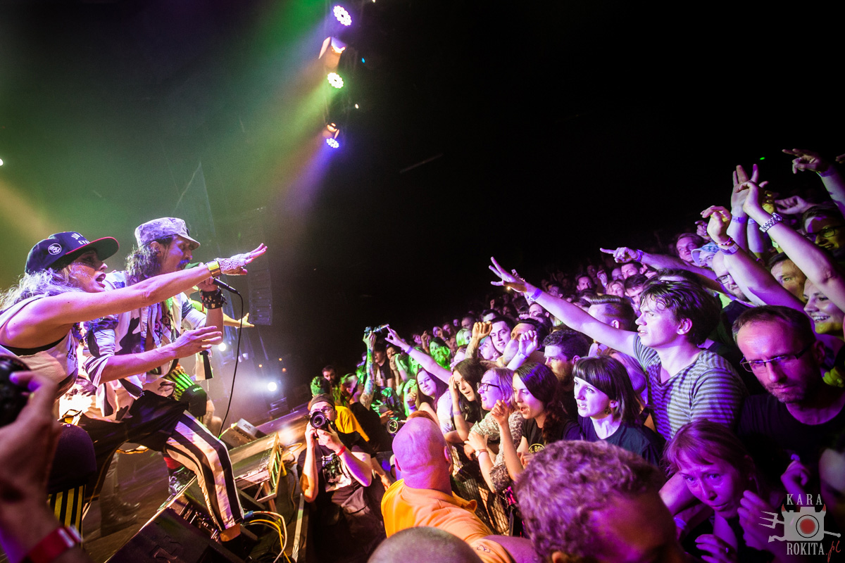 Gogol Bordello