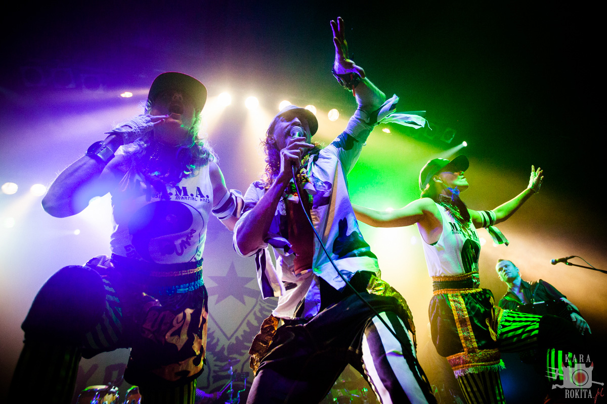 Gogol Bordello