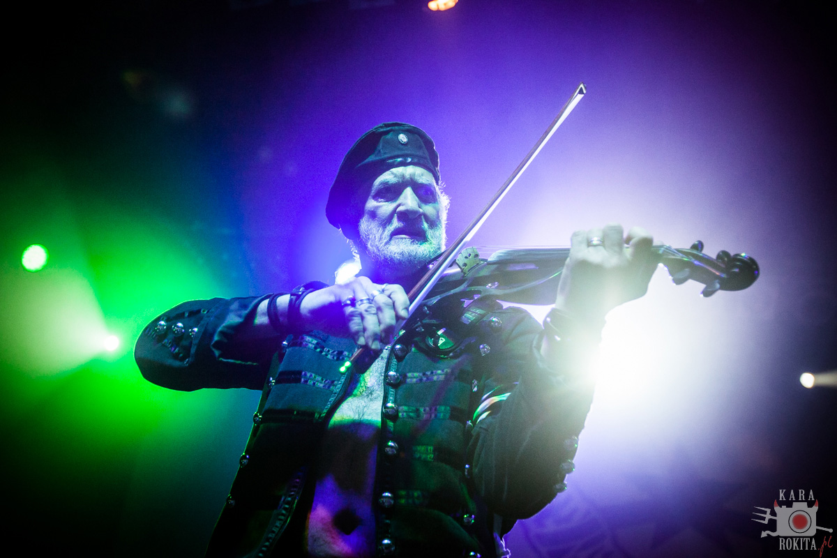 Gogol Bordello