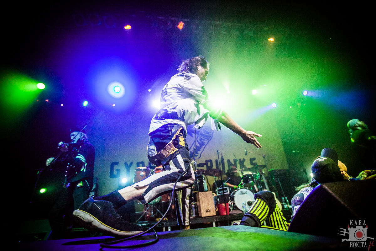 Gogol Bordello