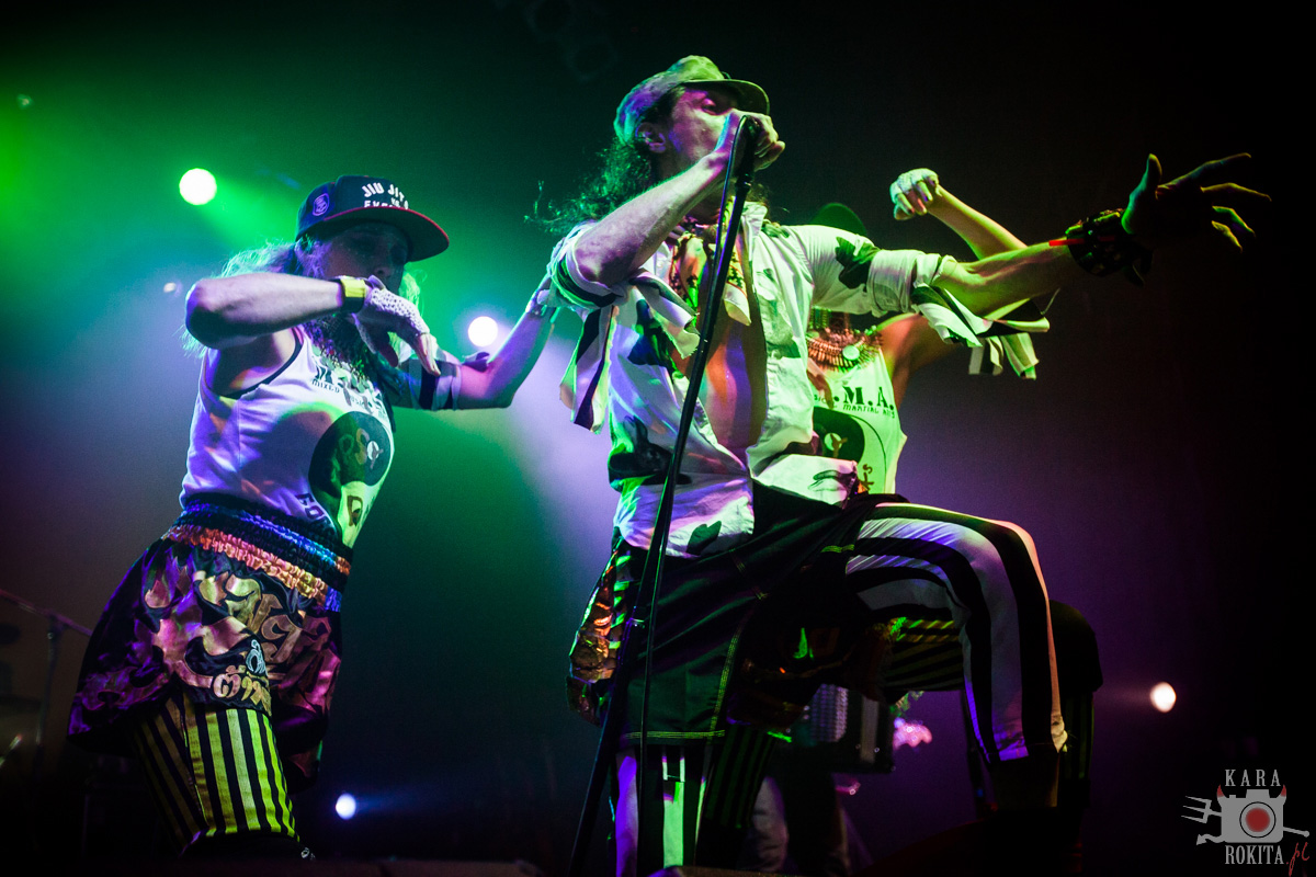 Gogol Bordello