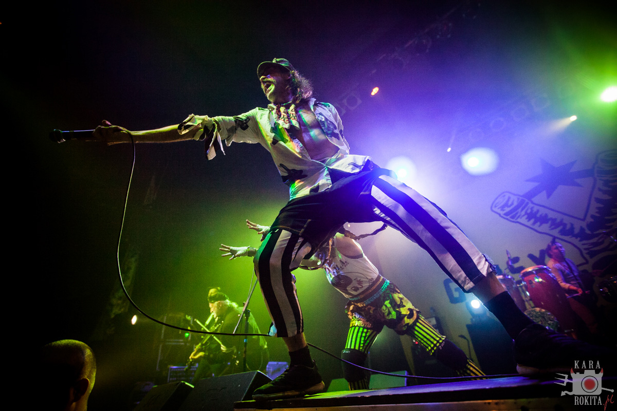 Gogol Bordello
