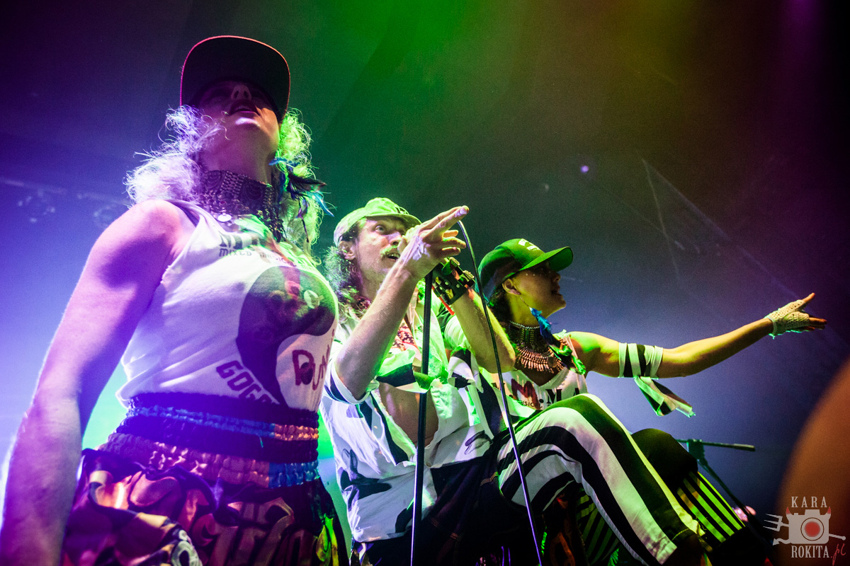 Gogol Bordello