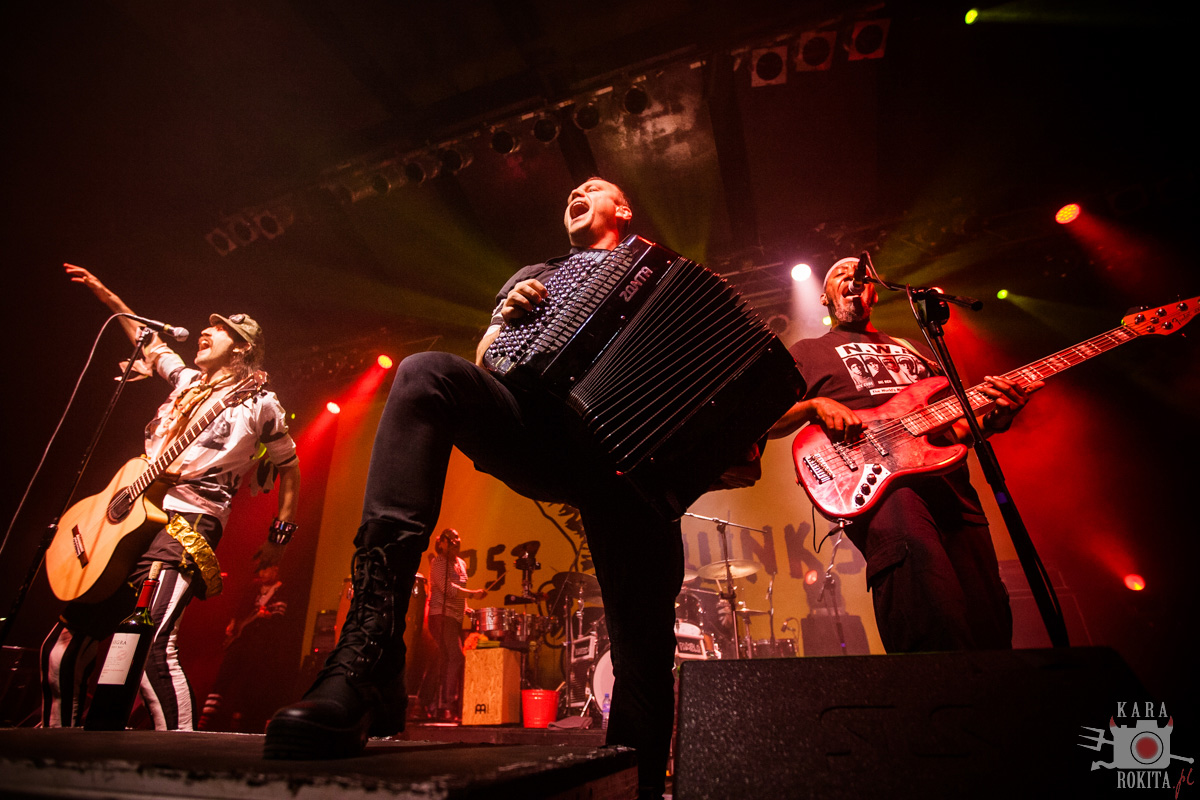 Gogol Bordello