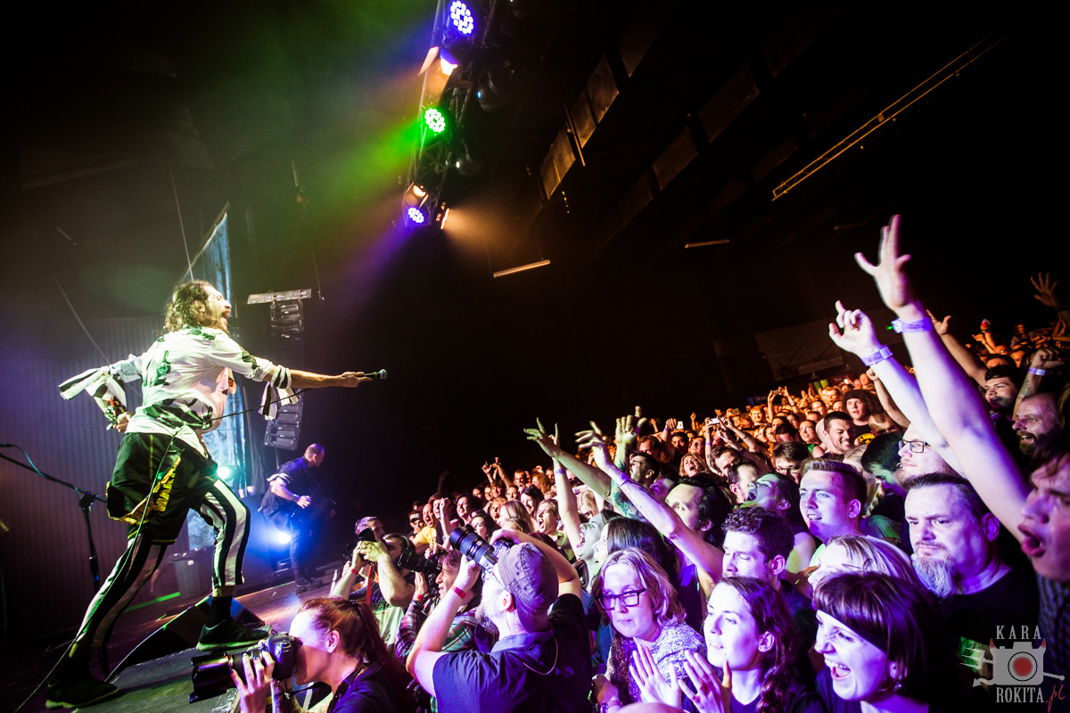 Gogol Bordello