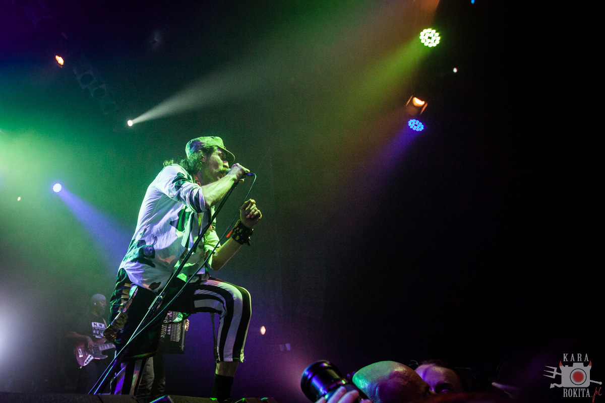 Gogol Bordello