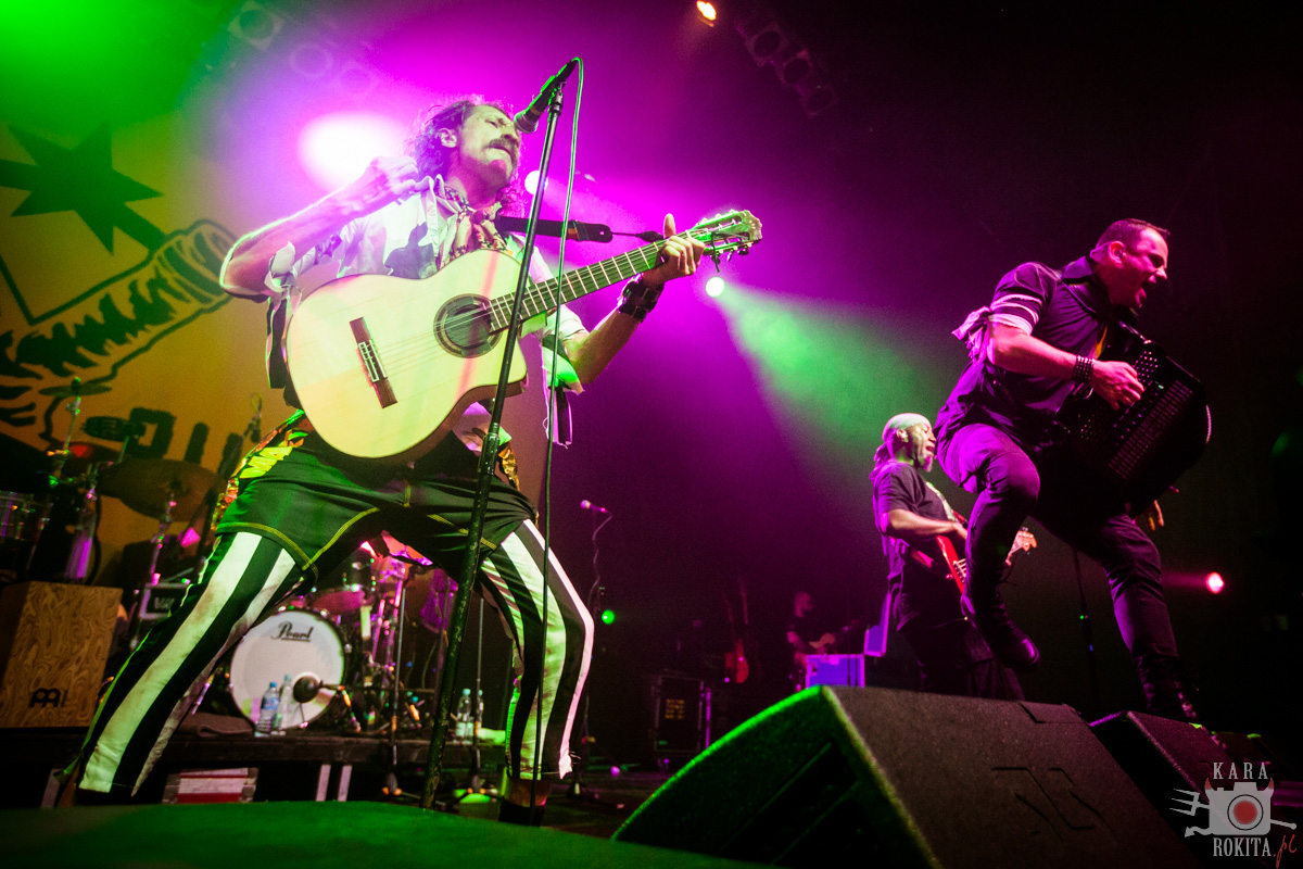 Gogol Bordello