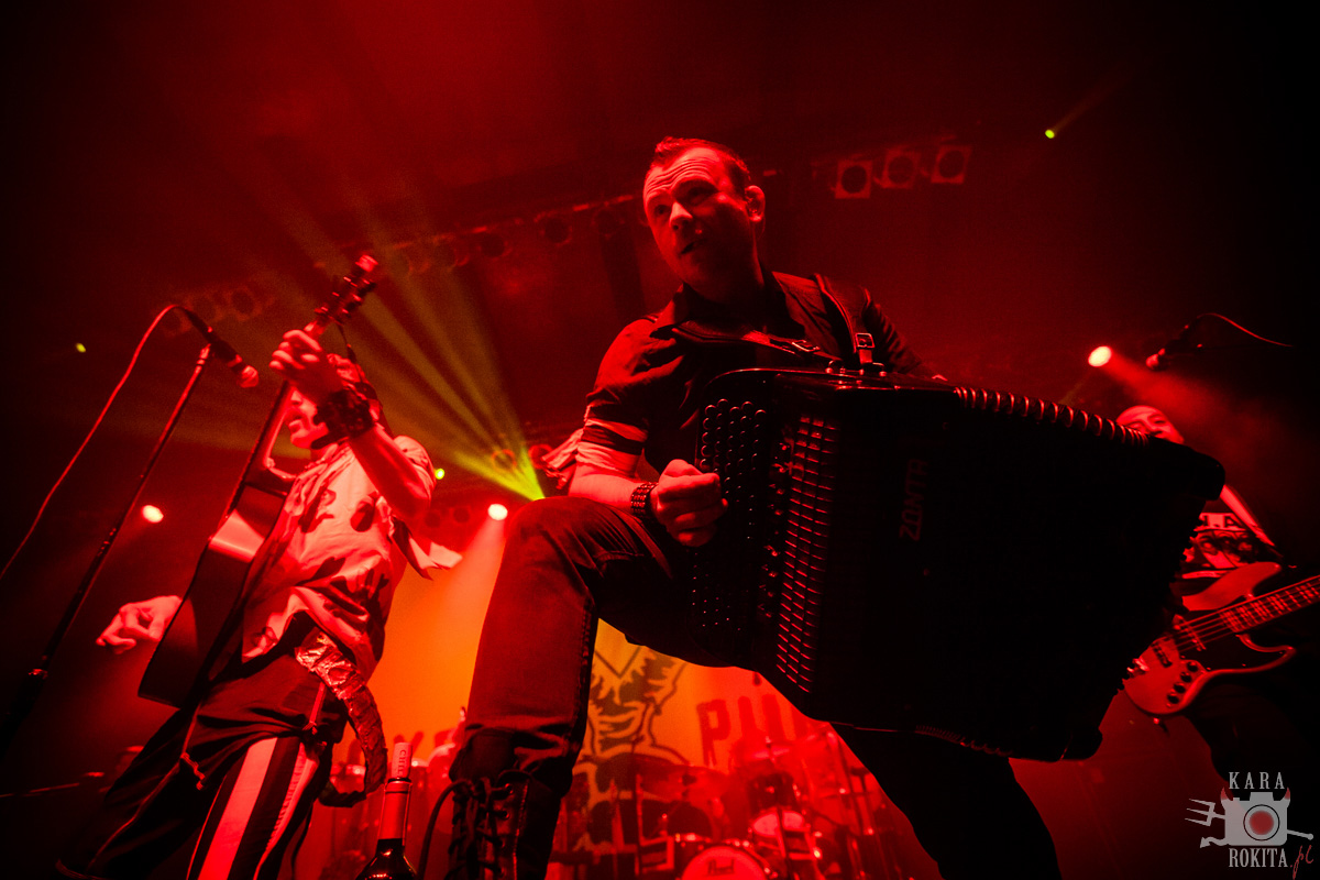 Gogol Bordello