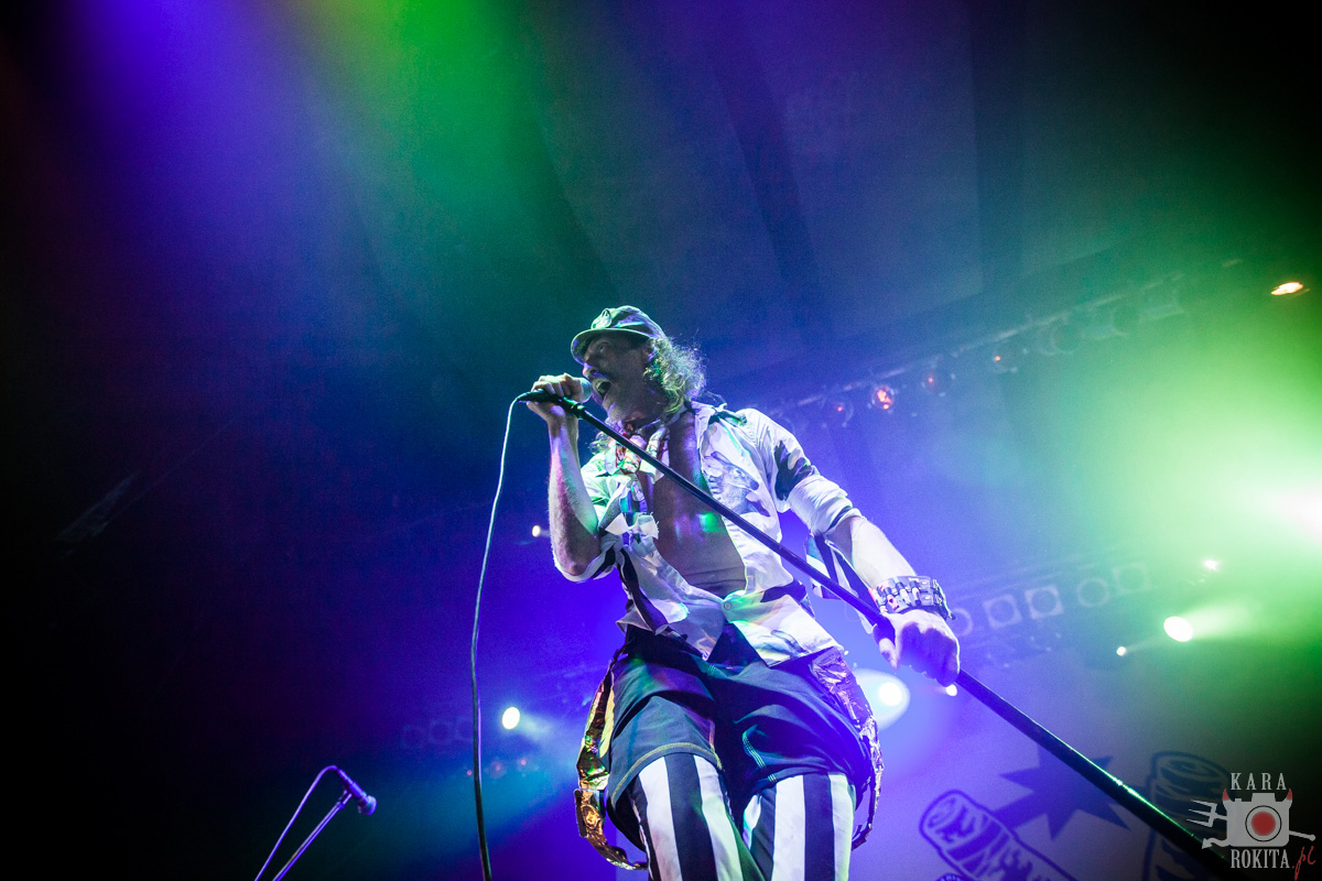 Gogol Bordello