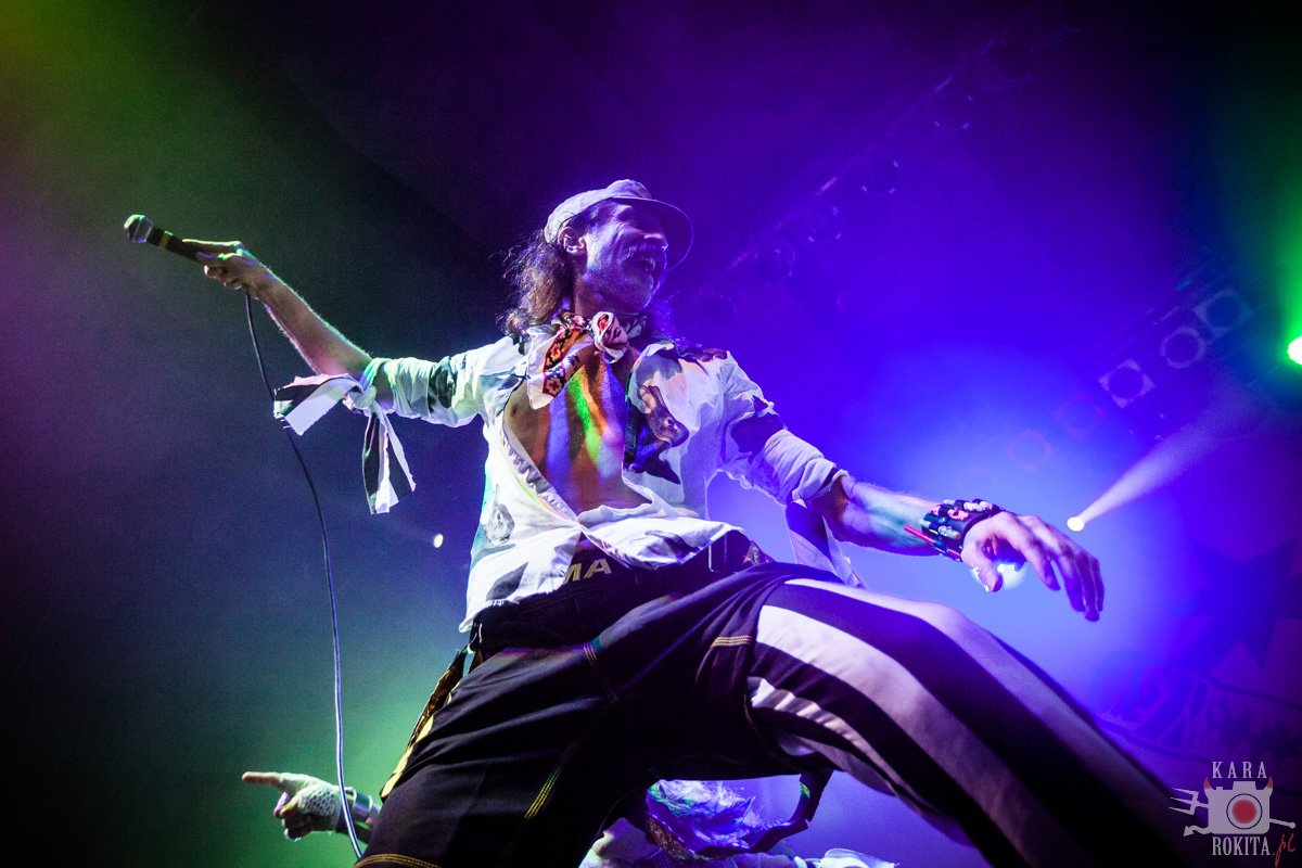 Gogol Bordello