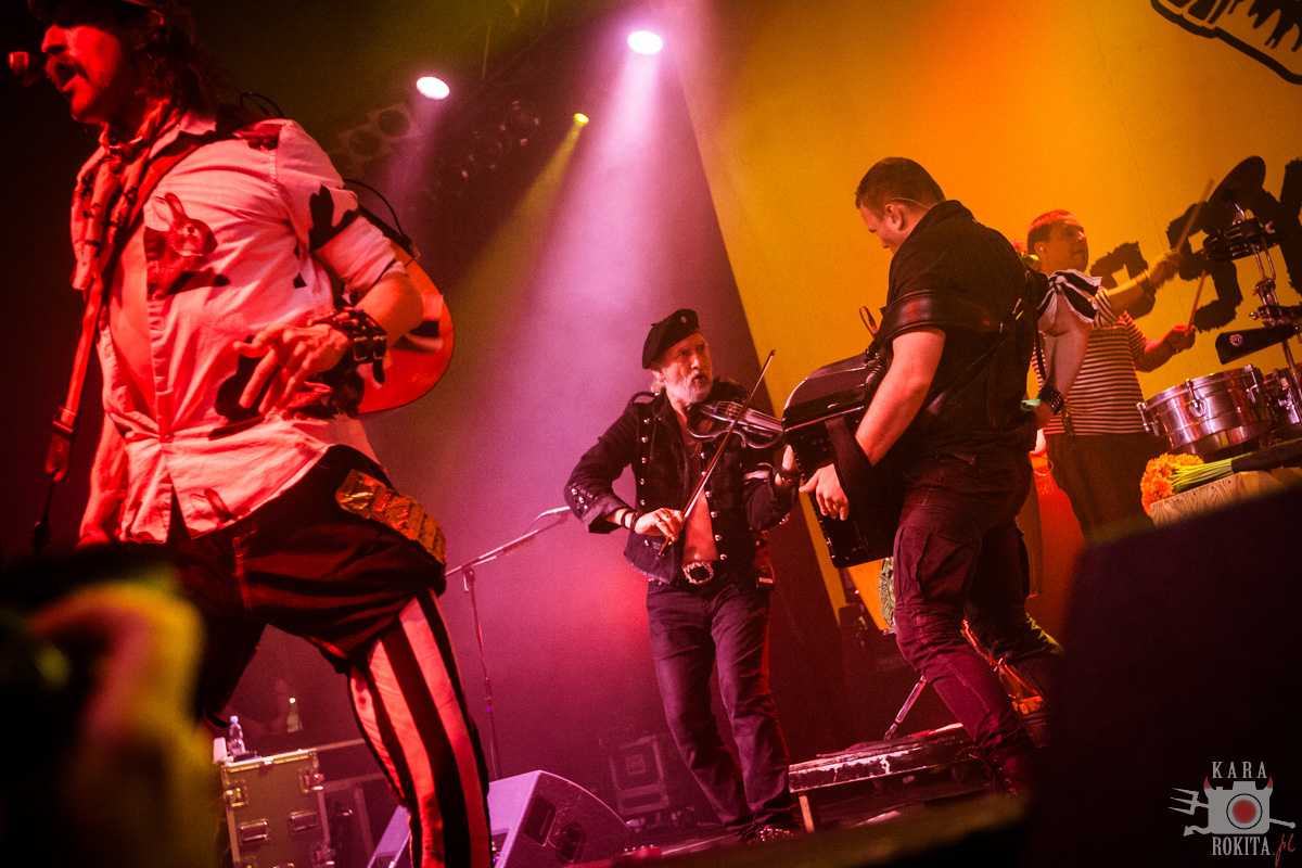 Gogol Bordello