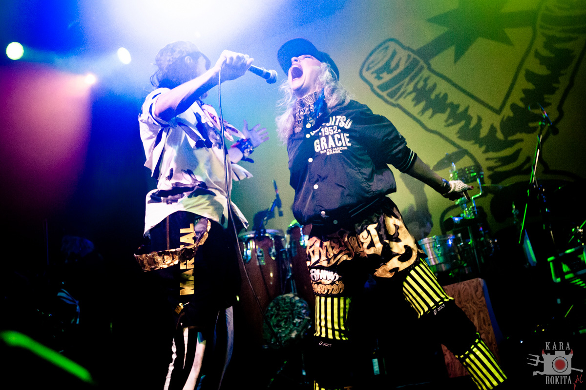 Gogol Bordello