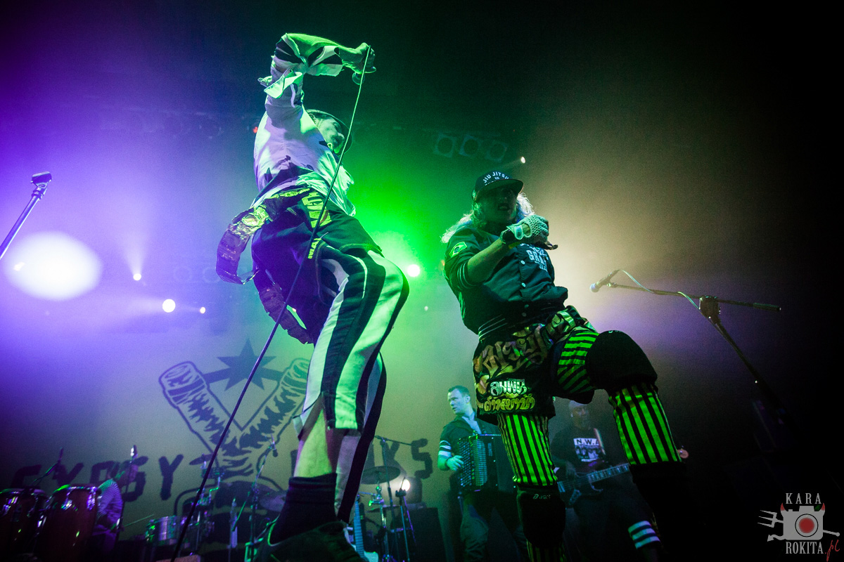 Gogol Bordello