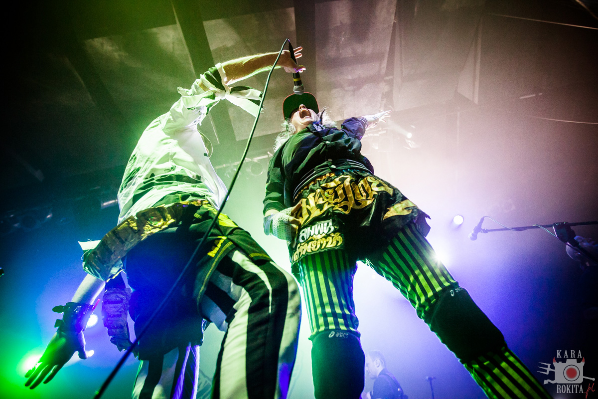 Gogol Bordello