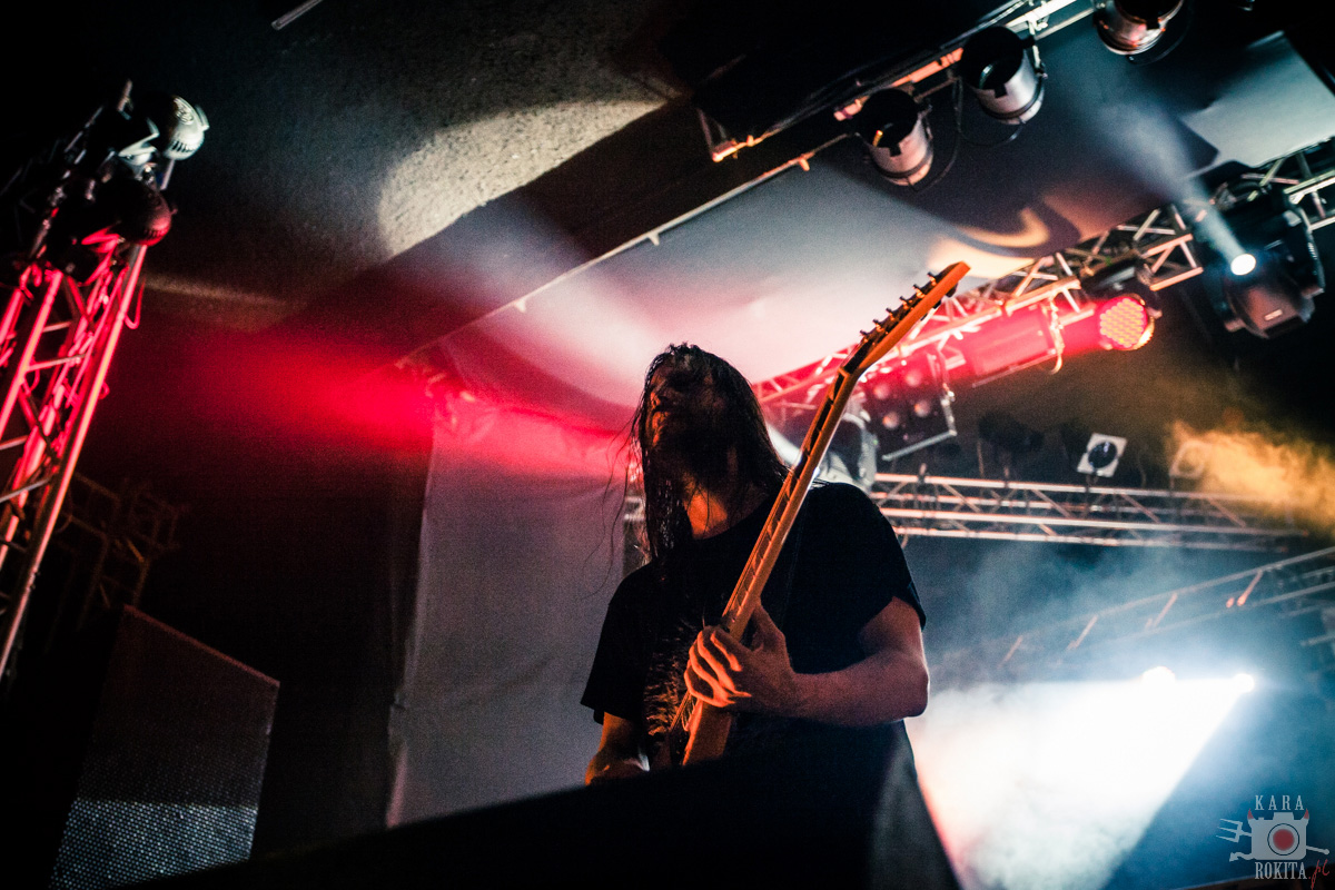 Gojira